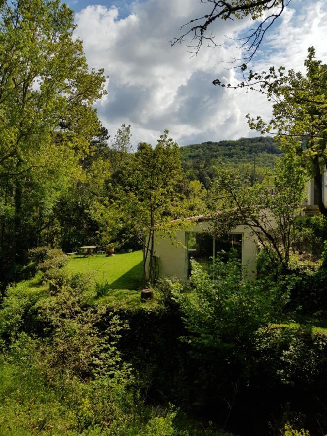 Beautiful Studio Surrounded By Nature Lanet Zewnętrze zdjęcie
