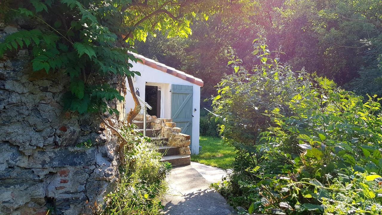 Beautiful Studio Surrounded By Nature Lanet Zewnętrze zdjęcie