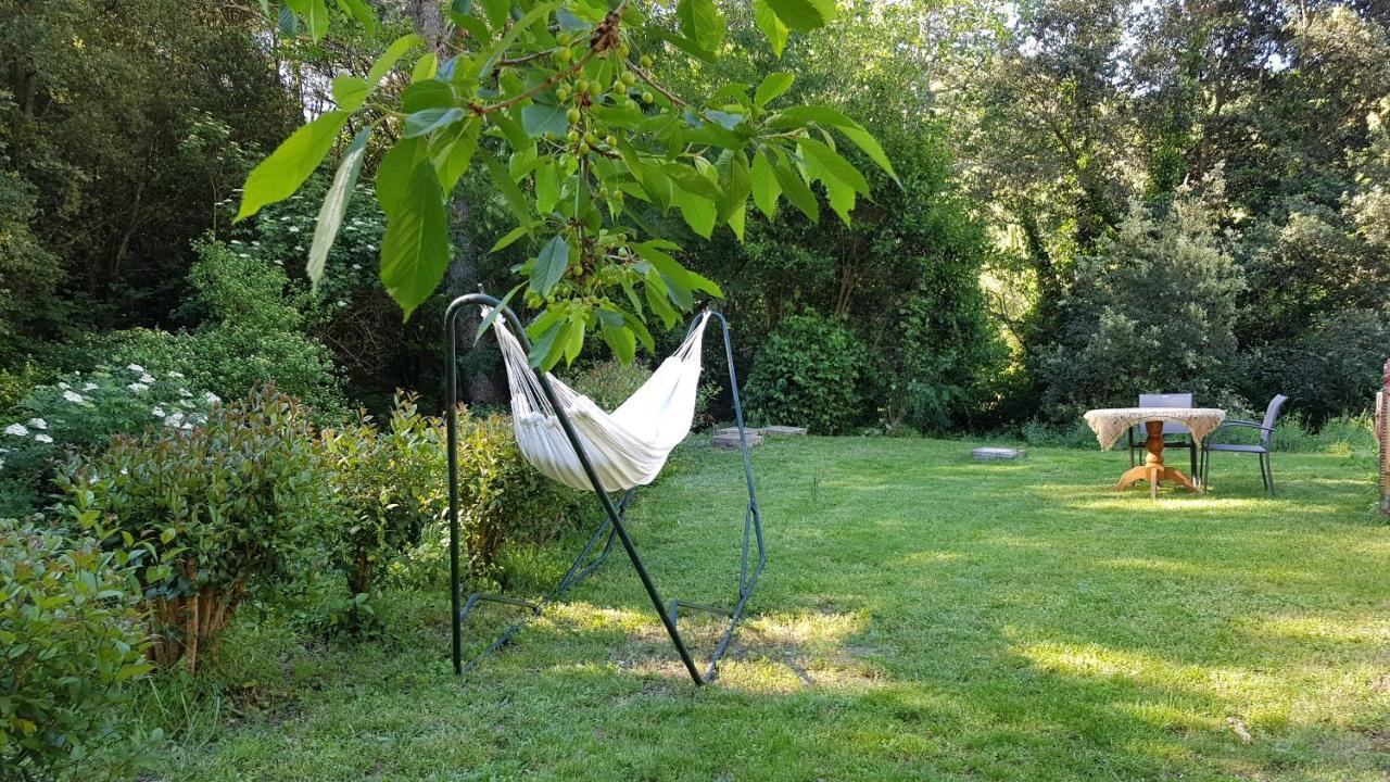 Beautiful Studio Surrounded By Nature Lanet Zewnętrze zdjęcie