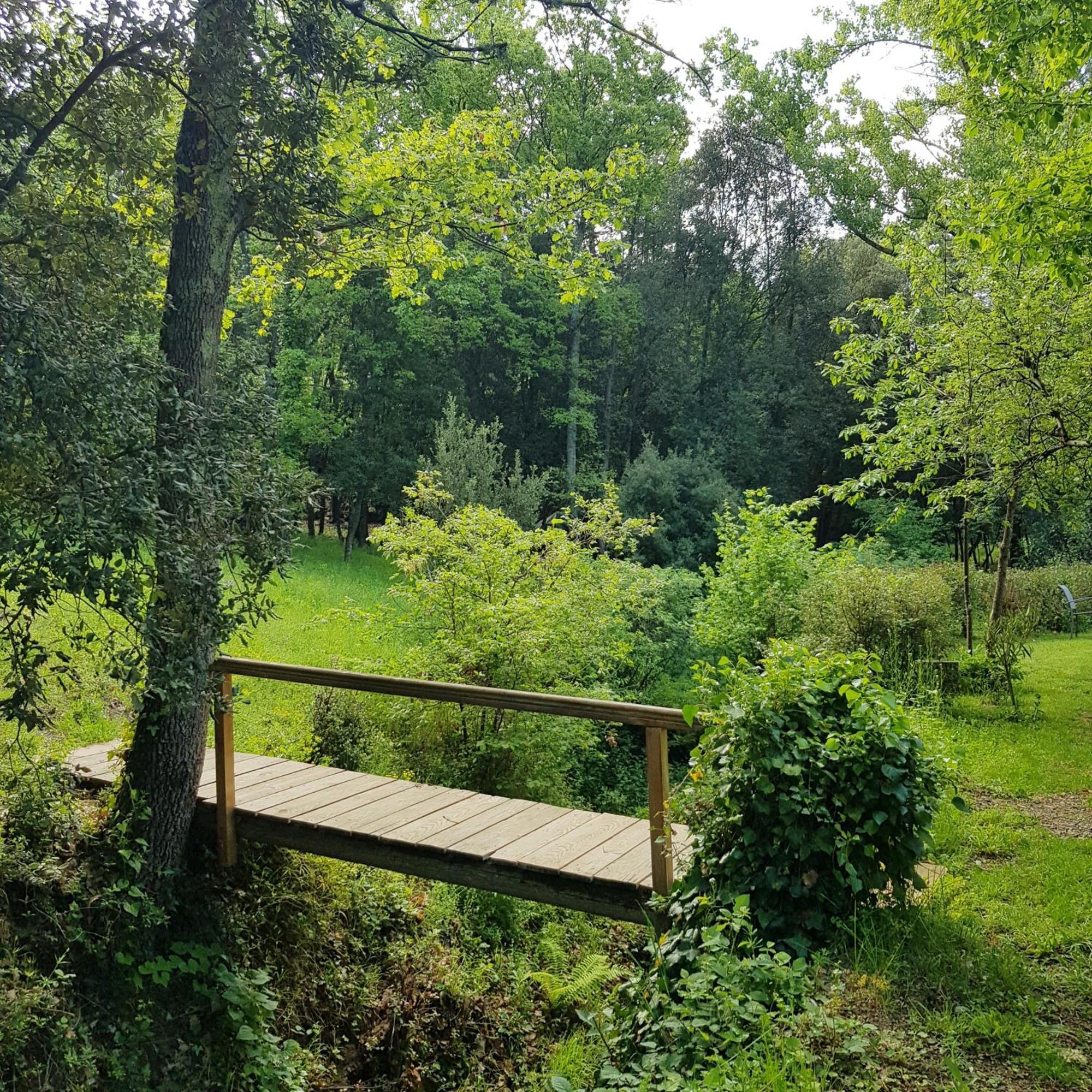 Beautiful Studio Surrounded By Nature Lanet Zewnętrze zdjęcie